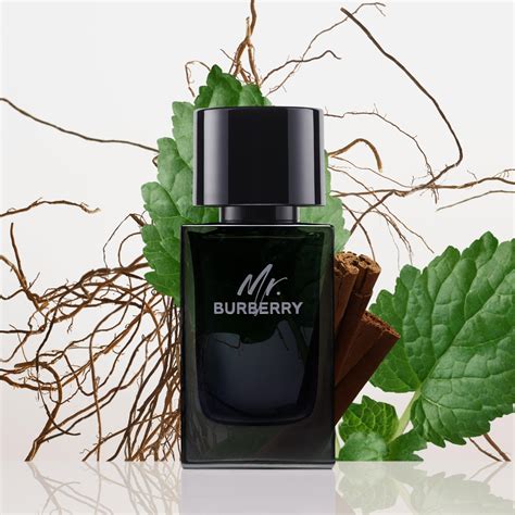 mr burberry 1.6 oz|mr burberry eau de parfum.